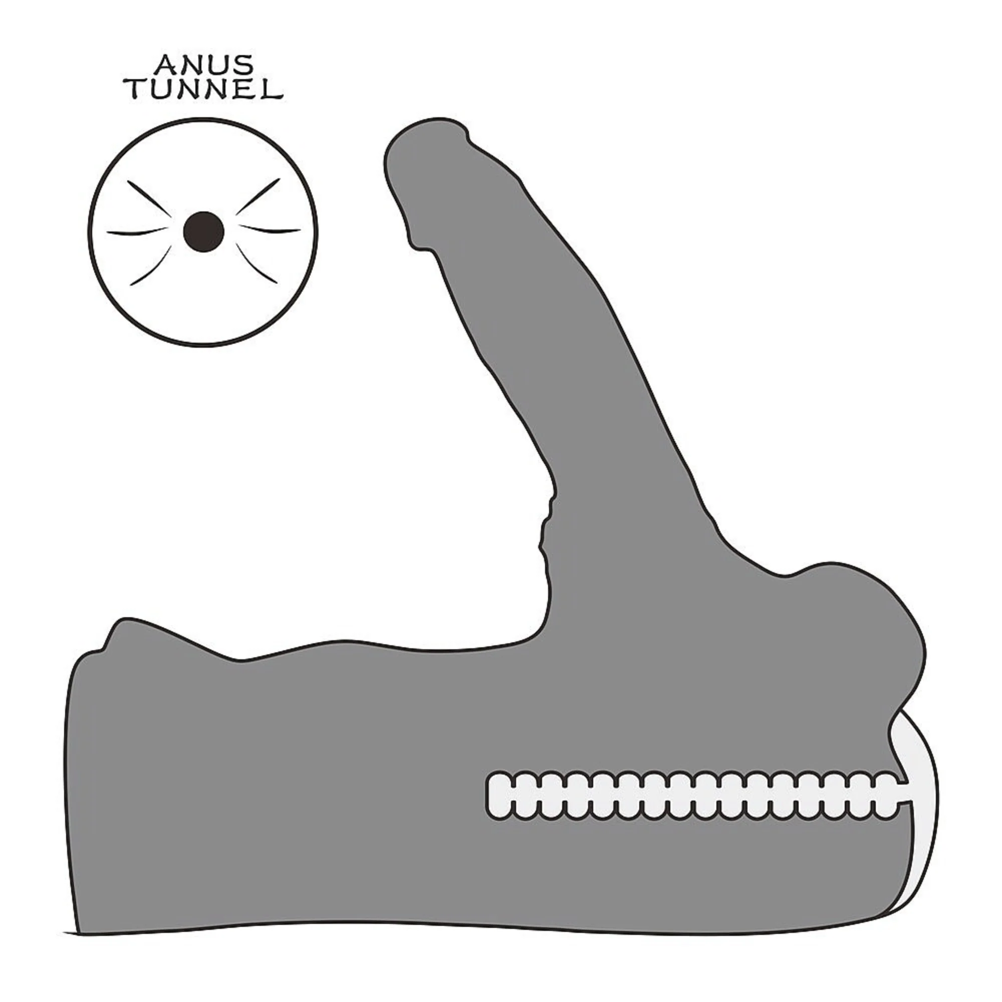 Male Torso Masturbator with Rideable Cock & Textured Ass - Perfect For Both Men & Women!
