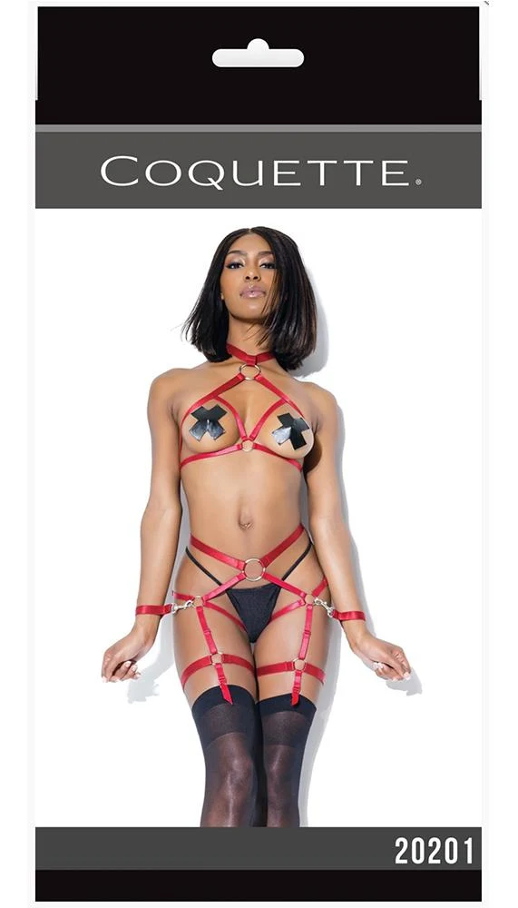 Coquette Harness Halter Top and Crotchless Panty Set