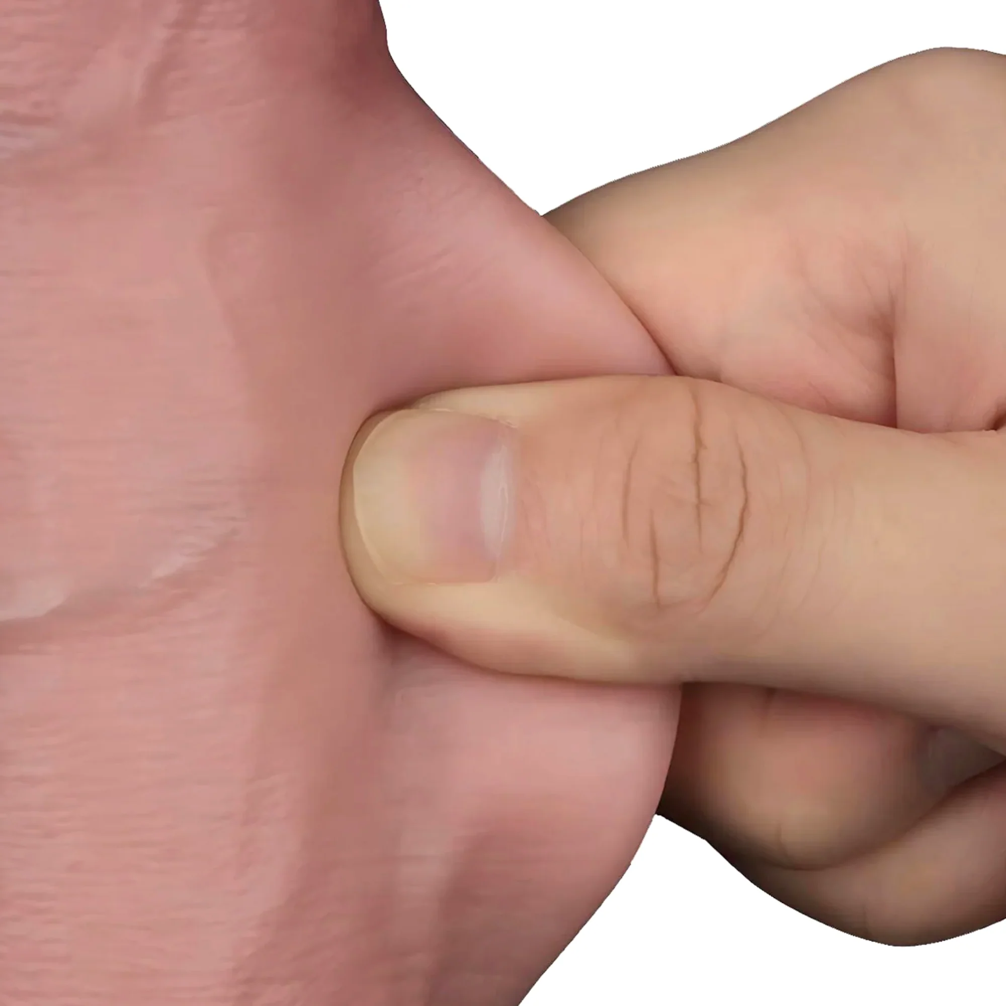 7" Sliding Skin Pro II Dual Layer Silicone Dildo - An Ultra-lifelike Cock in a Beginner-friendly Size!