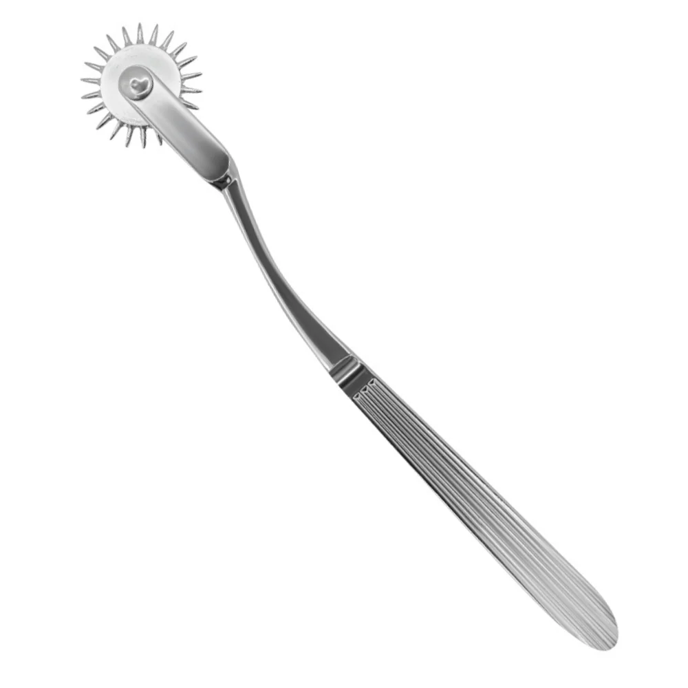 Stainless Steel Spike Pinwheel for Sensory and Bondage Play