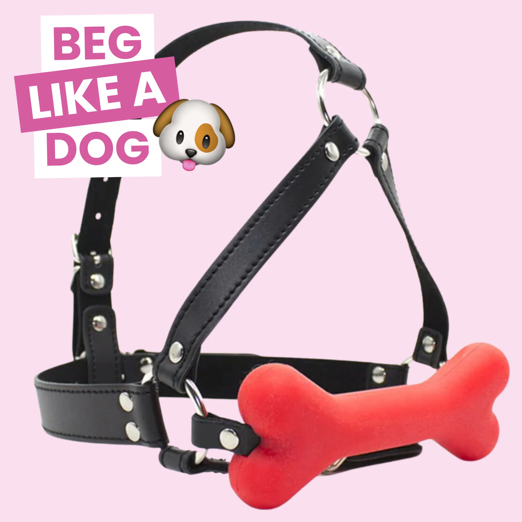 Bone Gag Head Harness in 2 Colors with Silicone Bone Gag