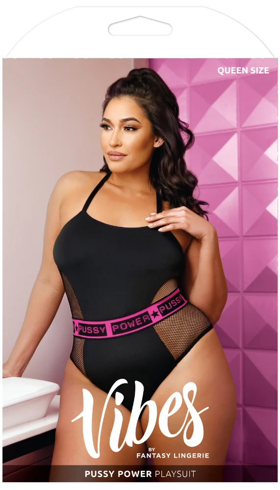 Fantasy Lingerie Pussy Power Mesh Paneled Playsuit Teddy