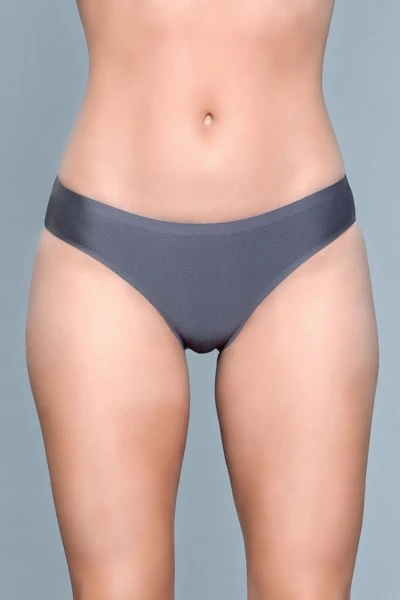 Regina Panty in Seamless Microfiber